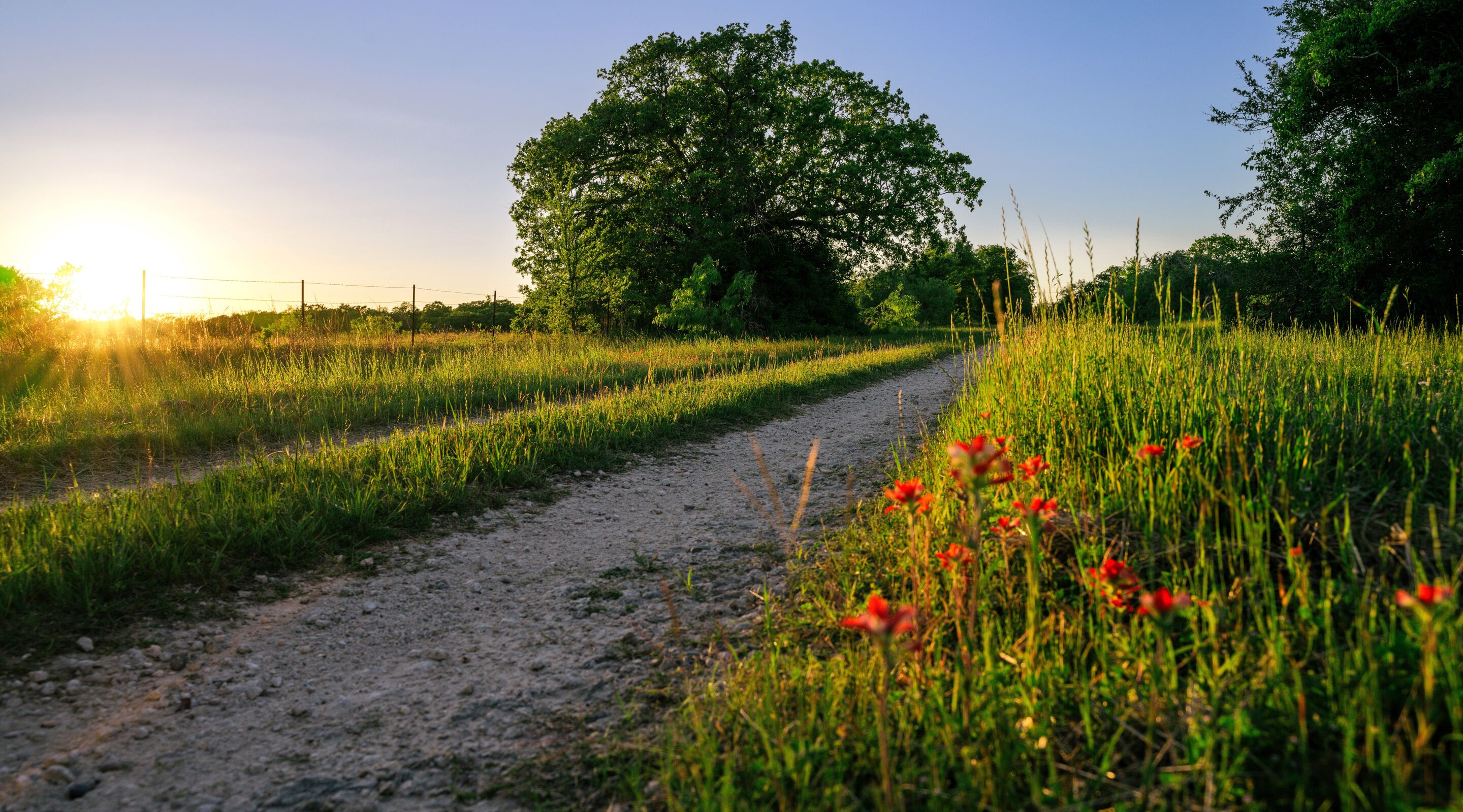 Greens Prairie Reserve Nature