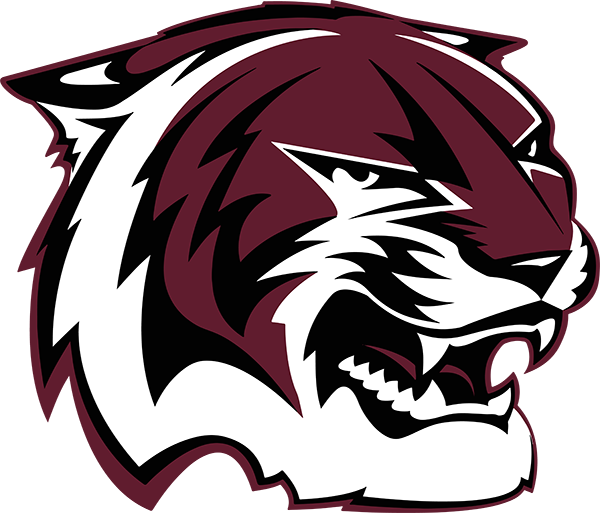 AM Consolidated HS Mascot