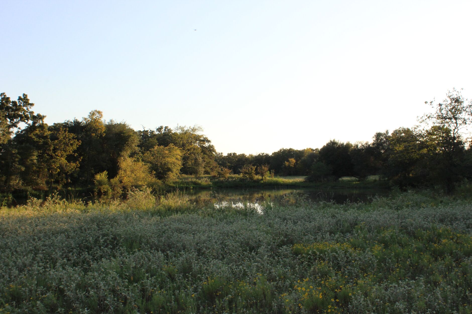 Greens Prairie Reserve